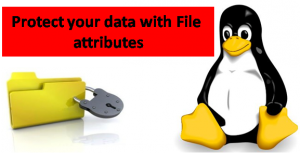 protect-your-data-with-file-attributes